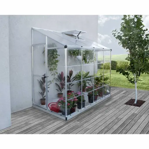 lean to 8x4 greenhouse 2