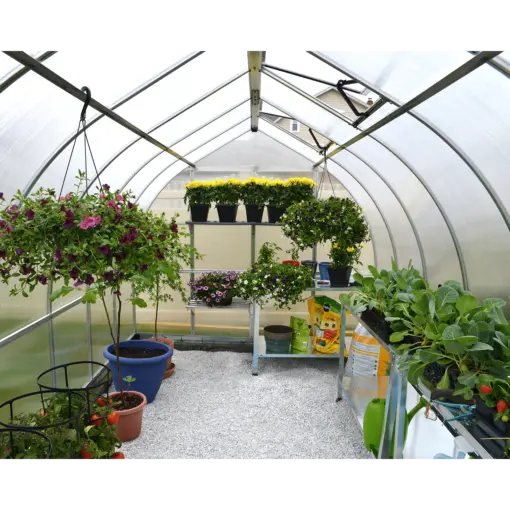 Bella Greenhouse inside