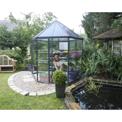 Oasis Hexagonal Greenhouse 3