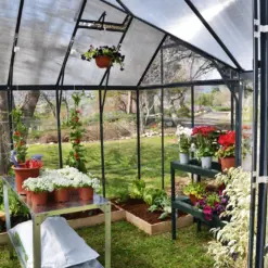 Greenhouses Victory Orangery inside